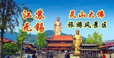 大鸡巴操屄一级视频江苏无锡灵山大佛旅游风景区