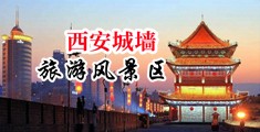 欧美淫逼网中国陕西-西安城墙旅游风景区